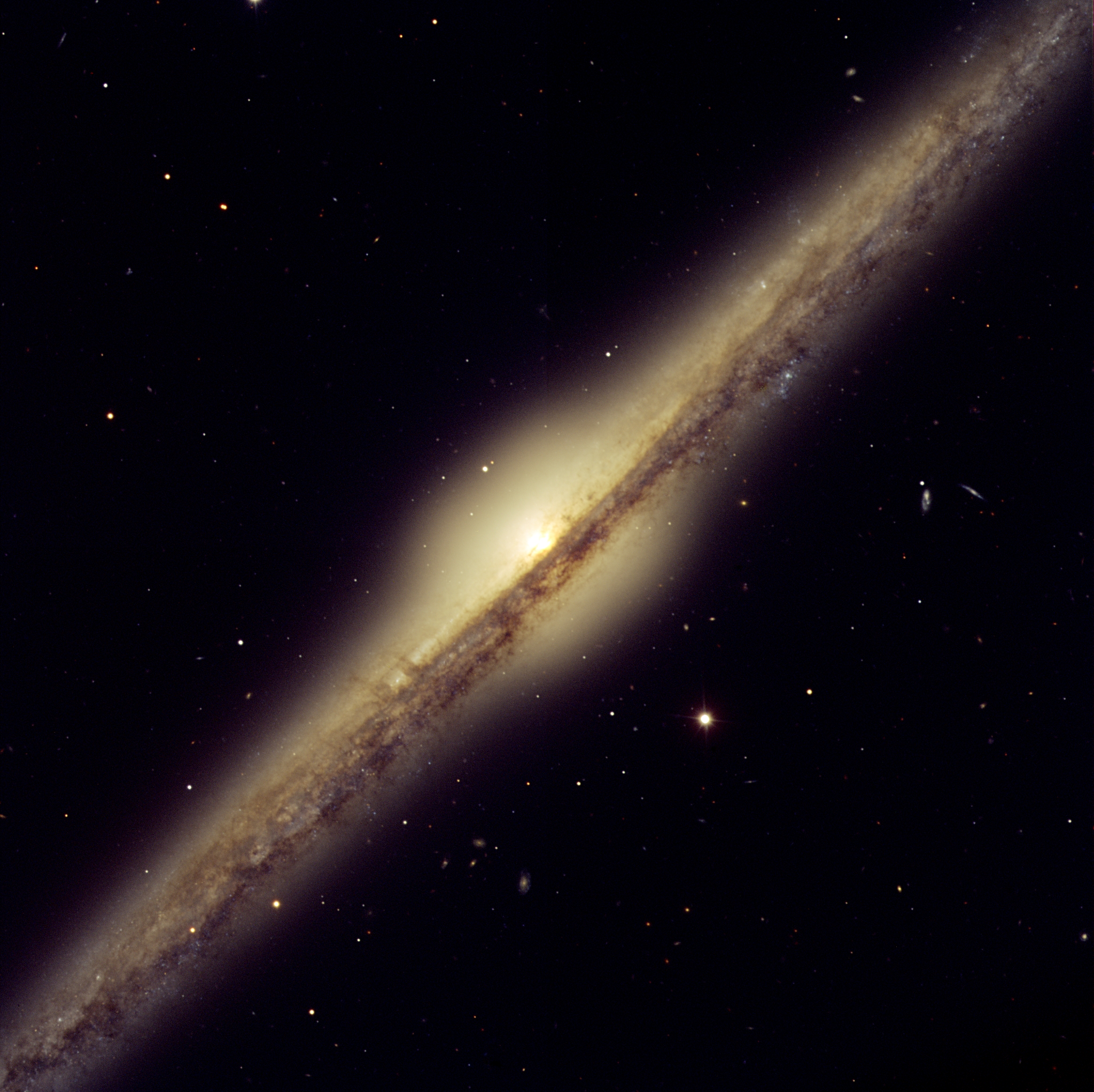 NGC 4565.jpg