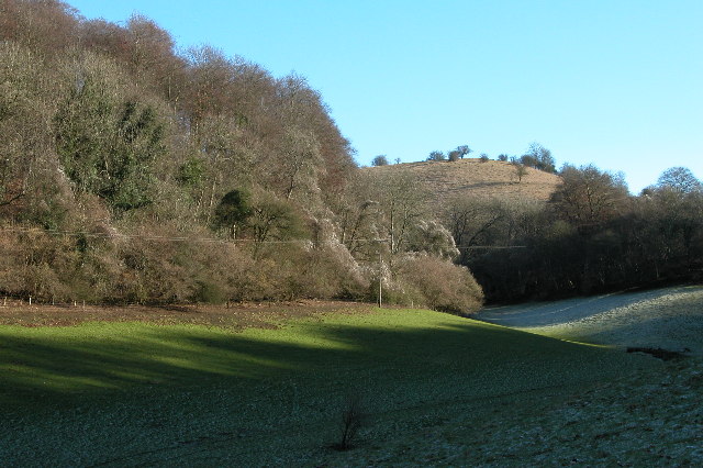 File:Nottingham Scrubs - geograph.org.uk - 114704.jpg