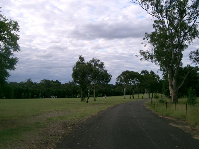 File:Parramatta Park (494267844).jpg