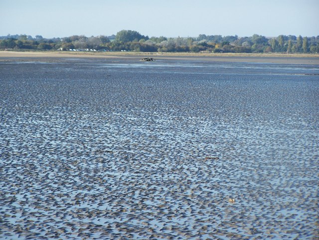 File:Pegwell Bay - geograph.org.uk - 1004244.jpg