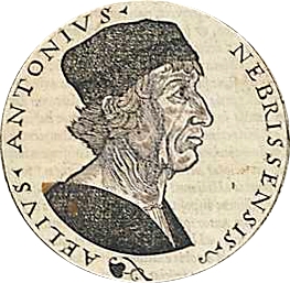 File:Retrato de Antonio de Nebrija (fondo blanco).jpg