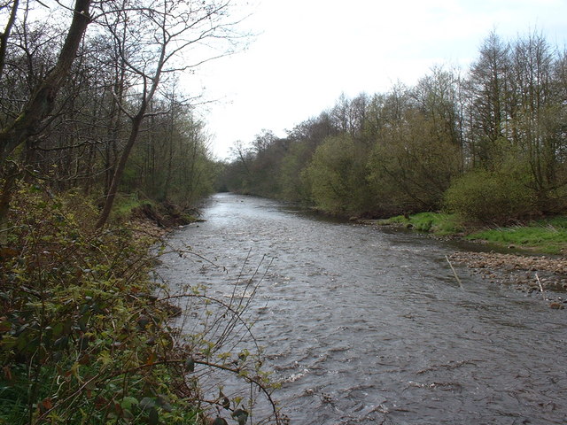 River Wyre - geograph.org.uk - 786249