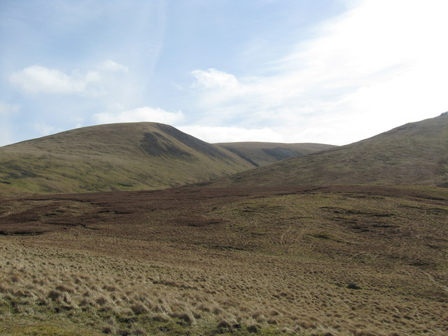 File:Rough grazing in the Borders hills - geograph.org.uk - 1208582.jpg