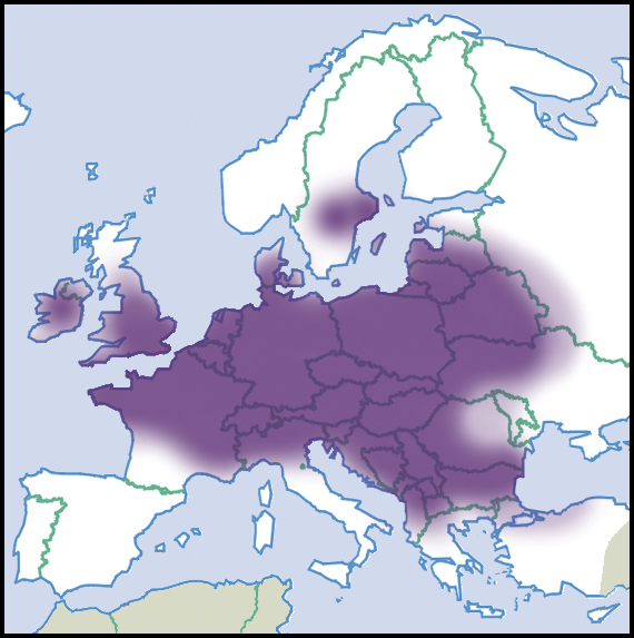 File:Stagnicola-corvus-map-eur-nm-moll.jpg