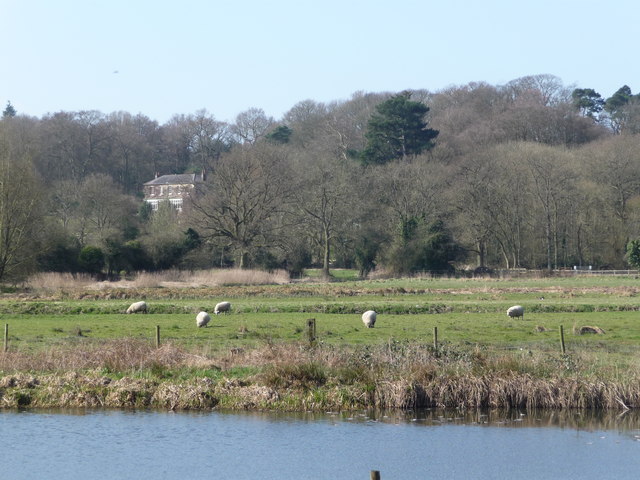 File:The Wey Valley - geograph.org.uk - 1217460.jpg