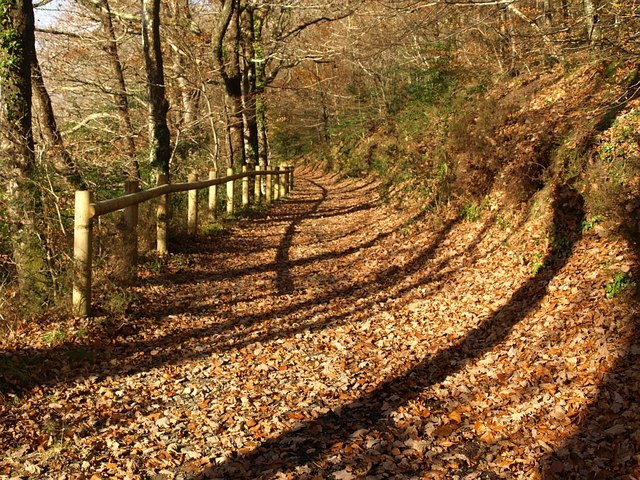 File:Track below Hembury Woods (7) - geograph.org.uk - 1056012.jpg