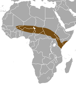 File:Voi Shrew area.png