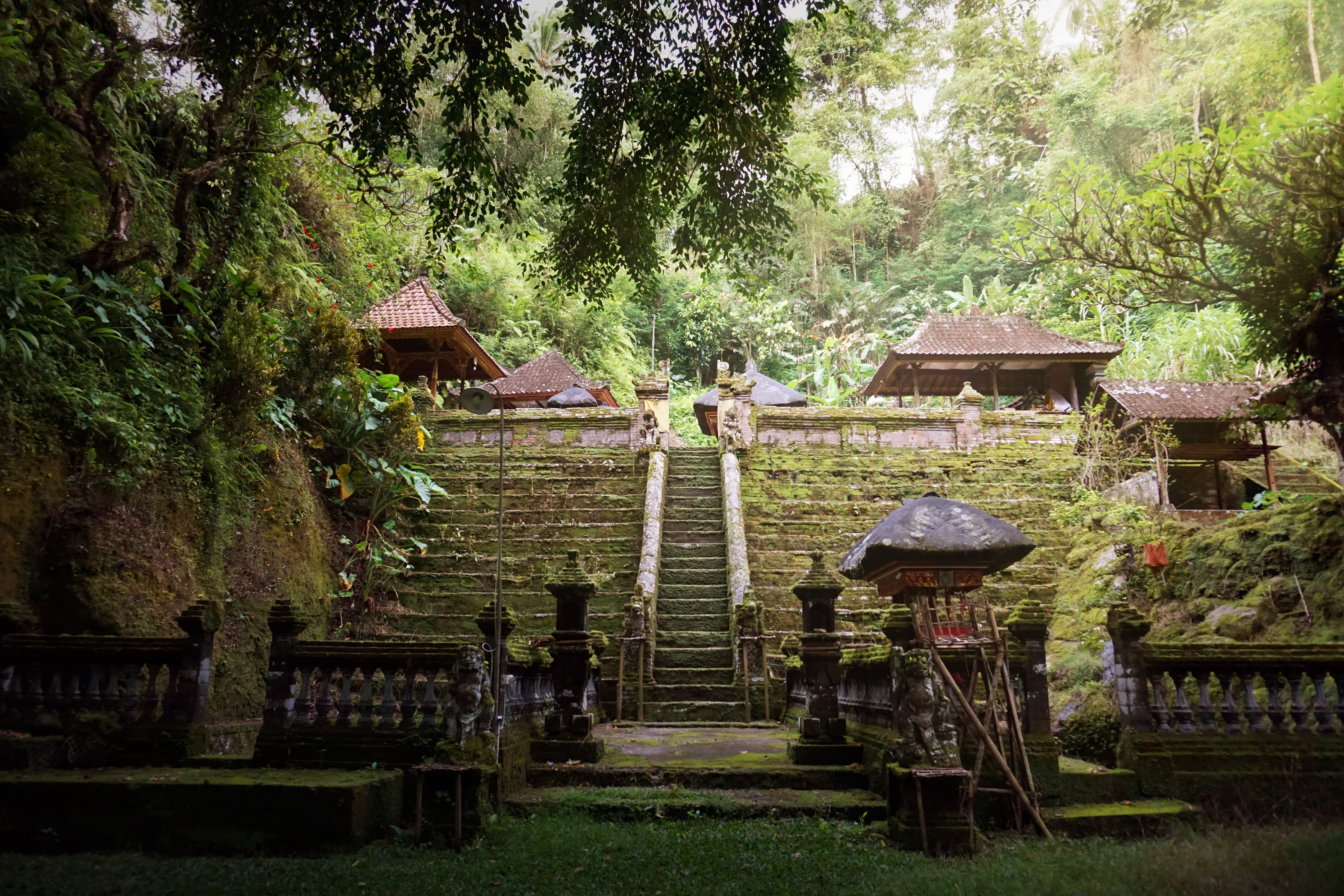 Finding Inner Peace in the Heart of Bali