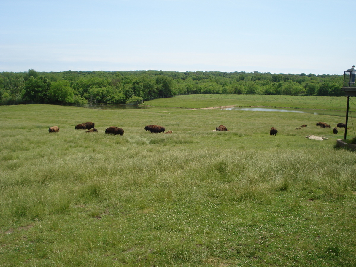 Wildlife Prairie Park Il