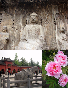 Ateh:Longmen Grottoes, Bawah kidagh: White Horse Temple, Bawah suok: Paeonia suffruticoca di Luoyang