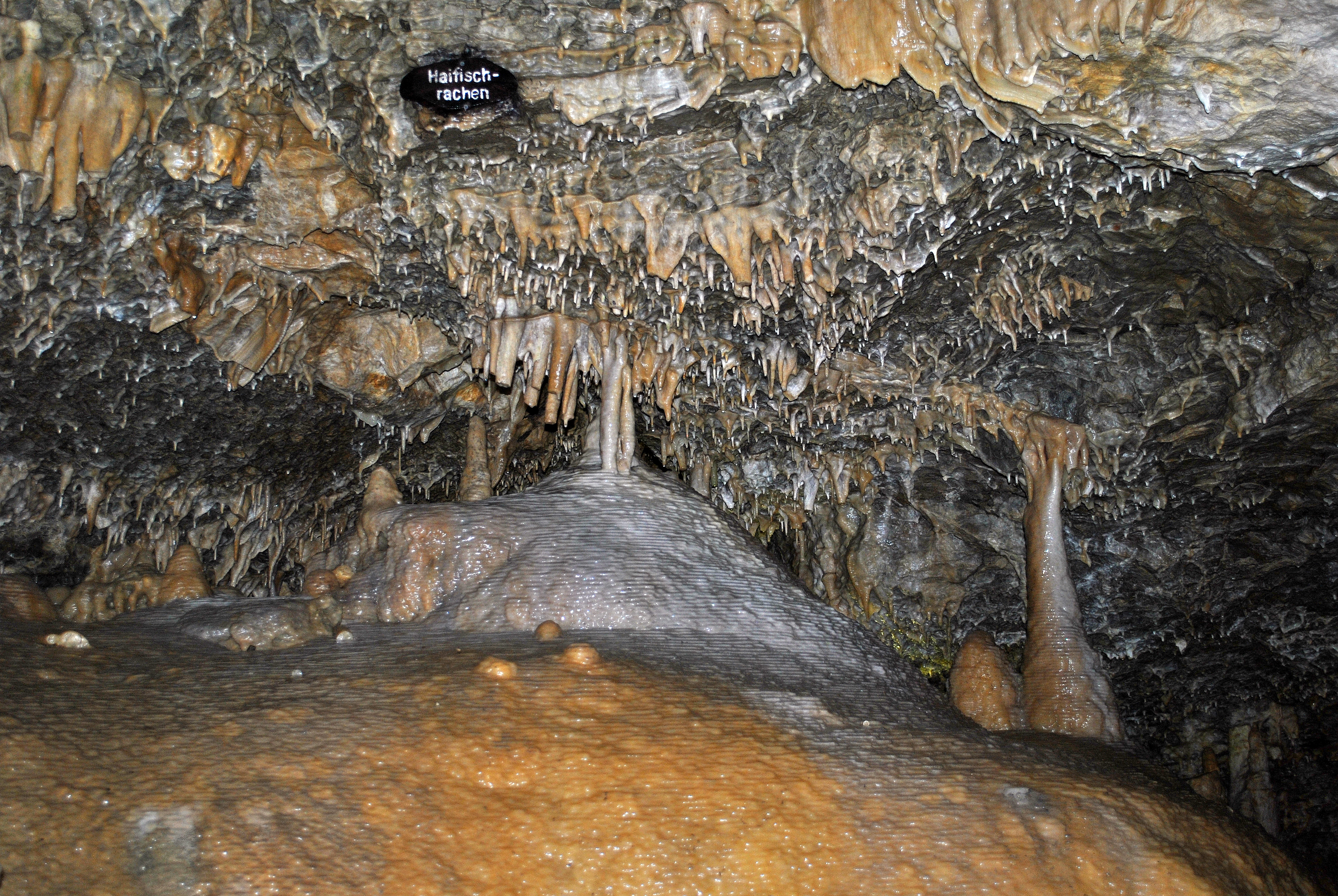 Eberstadter Tropfsteinhöhle, Haifischrachen. Quelle: WikiCommons, Foto: Hartmann Linge