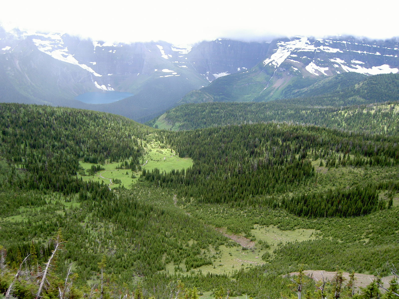 Alpine Meadows