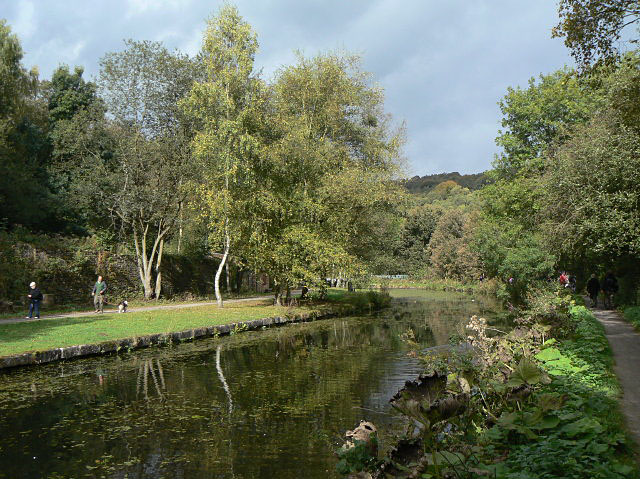 File:Autumn sunlight - geograph.org.uk - 1522433.jpg