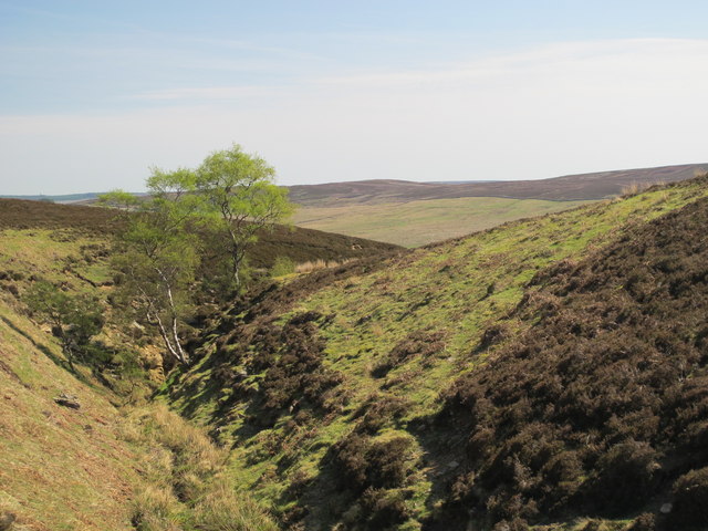 File:Backstone Cleugh (7) - geograph.org.uk - 2376017.jpg