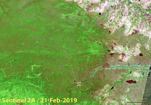 File:Bandipur Forest Fire 2019 Sentinel 2A Data.gif