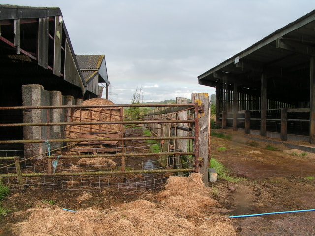 File:Barns at Woodrow - geograph.org.uk - 1411462.jpg