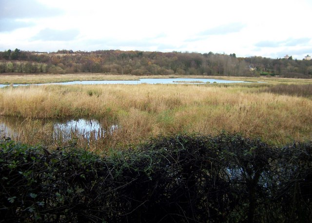 Barons Haugh Nature Reserve - geograph.org.uk - 1849305