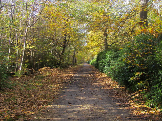 Beeches Way - geograph.org.uk - 3301619