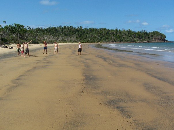 Brown beach