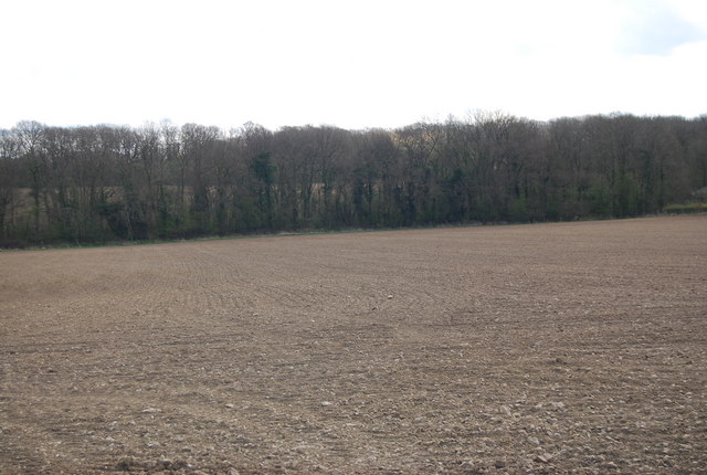 File:Bushy Wood across a field - geograph.org.uk - 1256797.jpg