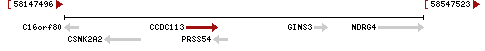 File:CCDC113 coiled-coil domain containing 113 - Homo sapiens (human).png