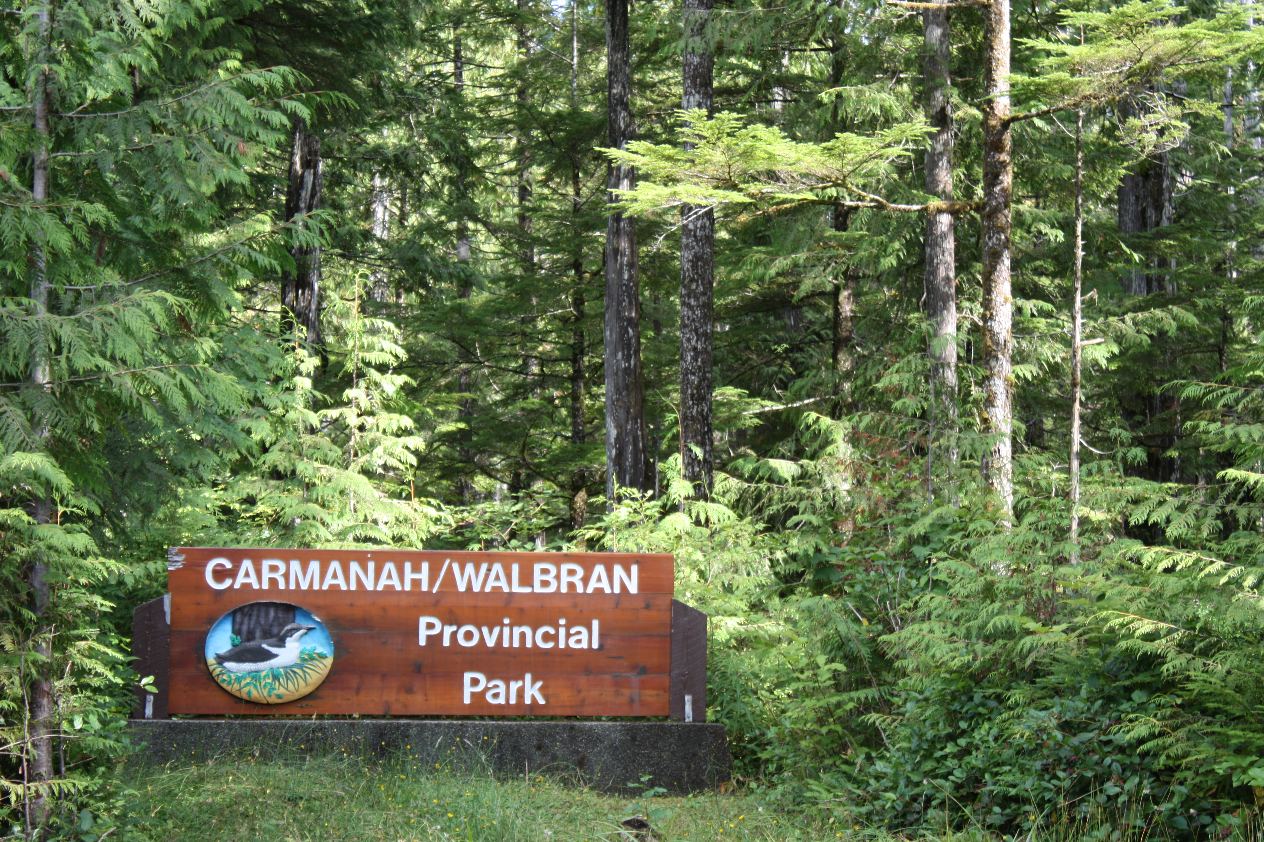 Photo of Carmanah Walbran Provincial Park