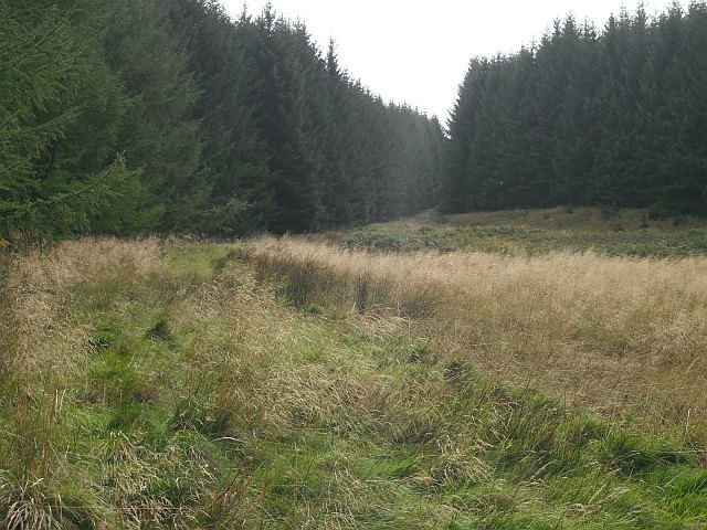 File:Carter Burn - geograph.org.uk - 1511459.jpg