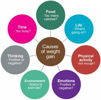 File:Causes of weight gain.jpg