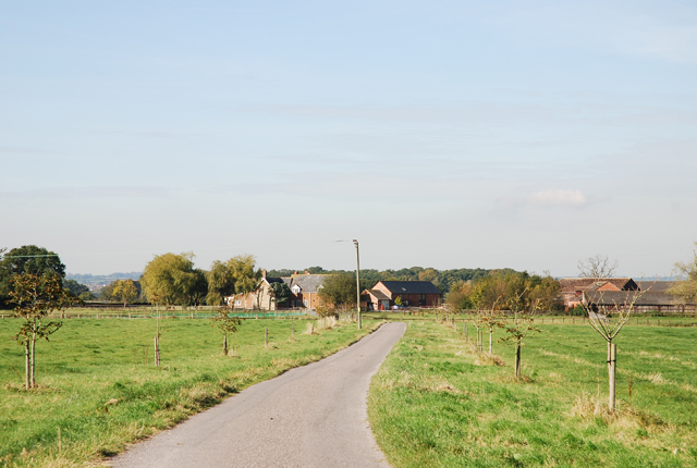 File:Drive to Half Moon Stud - geograph.org.uk - 588965.jpg