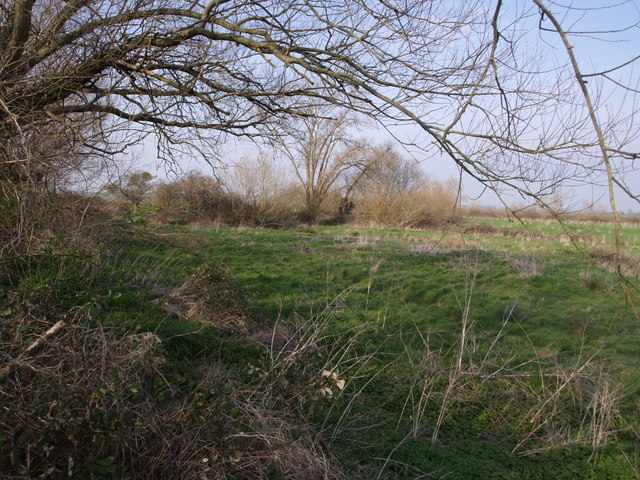 File:Field near River Tone - geograph.org.uk - 377412.jpg