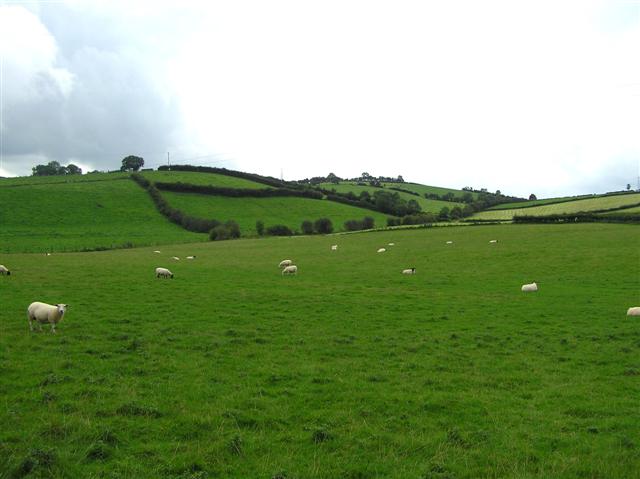 File:Finulagh Townland - geograph.org.uk - 239092.jpg