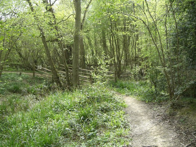 File:Footbridge near Nuthurst - geograph.org.uk - 413977.jpg