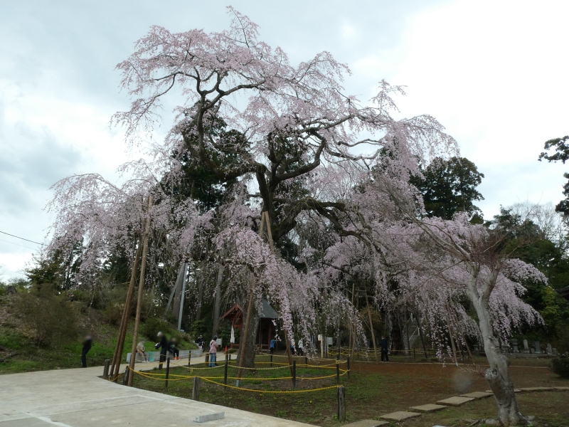 File:Fukushojishidare.jpg