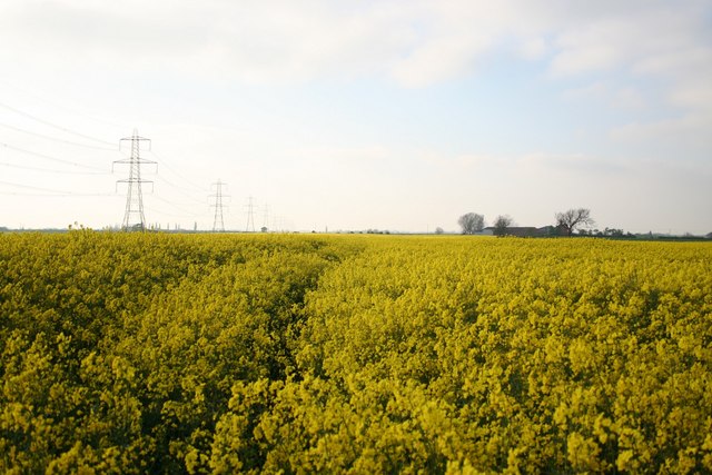 File:Hardwick farmland - geograph.org.uk - 423373.jpg