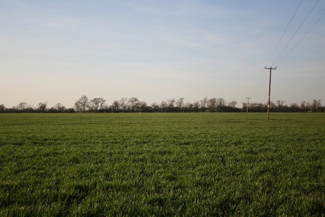 File:Ingleby Fields - geograph.org.uk - 389596.jpg