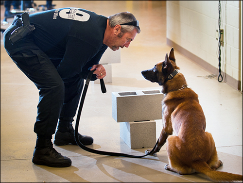 File:Jacksonville Sheriff’s Office Officer with police dog.jpg