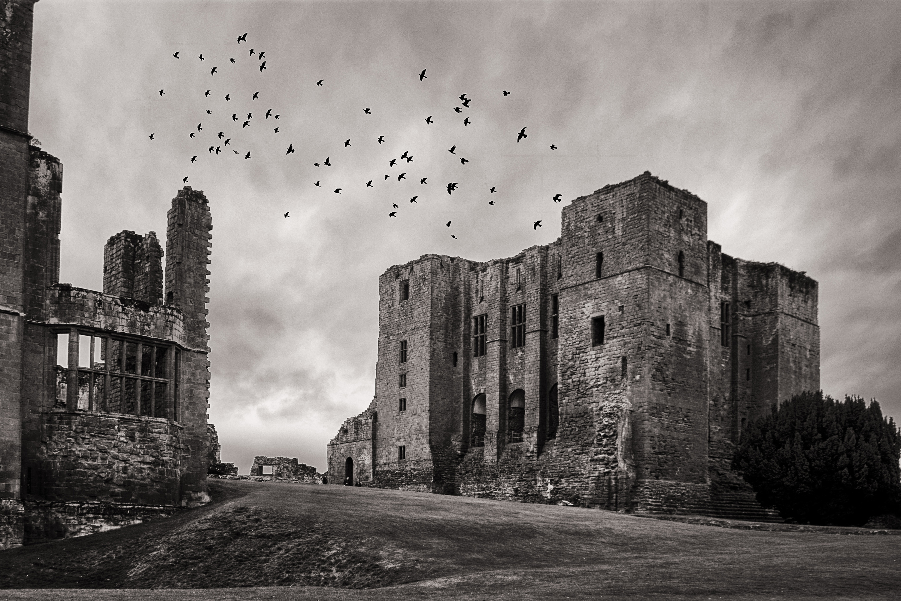 A black and white photo of the ancient Kenilworth Castle against a stormy sky filled with birds in flight evokes the gloomy aesthetic of early Gothic fiction.