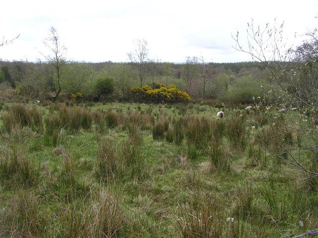 File:Knockacullion Townland - geograph.org.uk - 782210.jpg