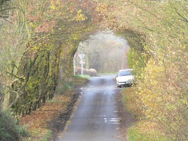 File:Late autumn on Hill Lane - geograph.org.uk - 645781.jpg