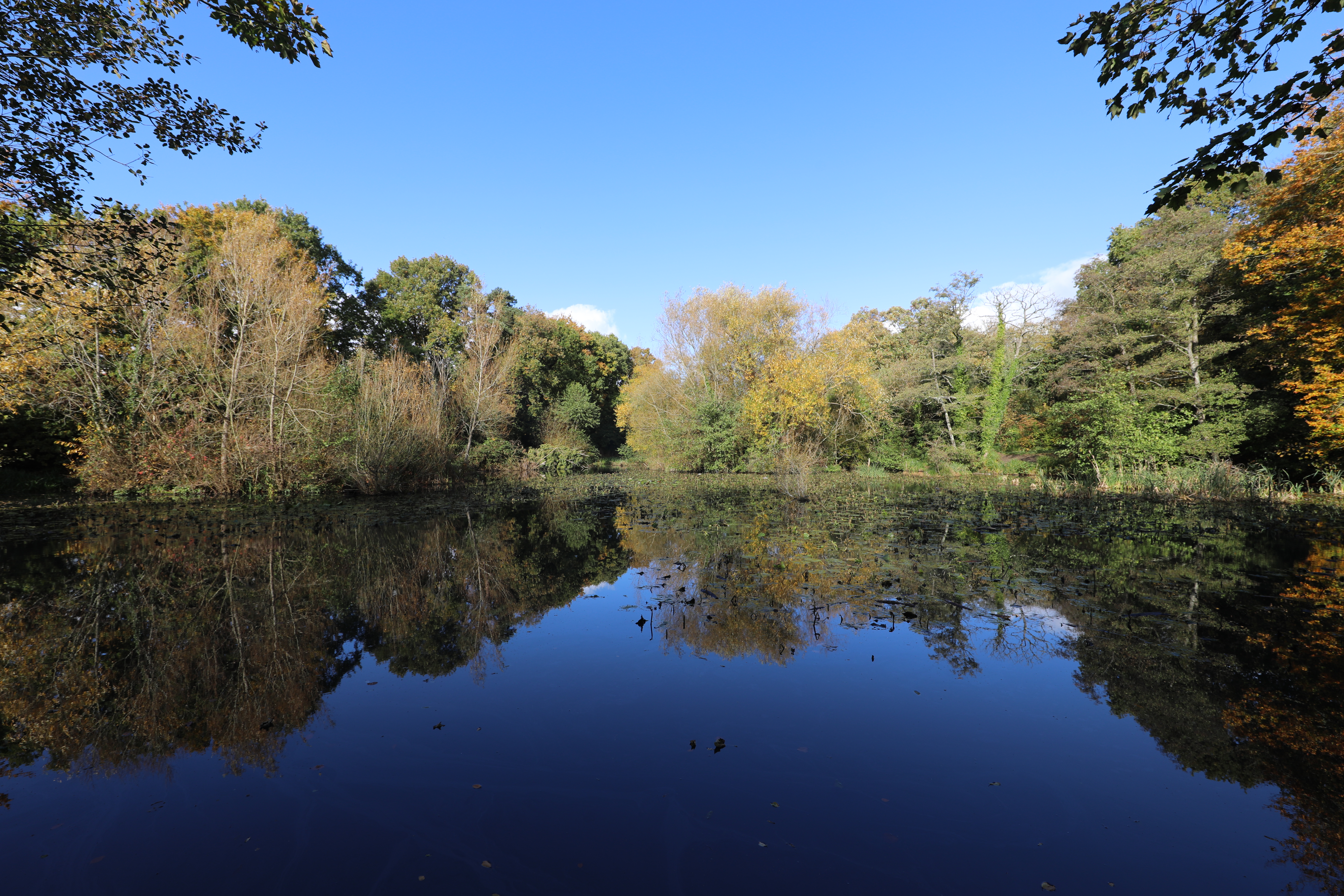 Miller's Pond