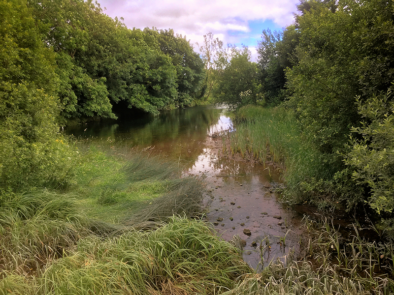 File:Owenacurra River - geograph.org.uk - 5819769.jpg