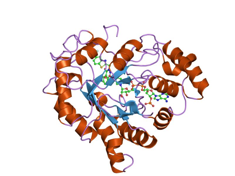 File:PDB 2fz9 EBI.jpg