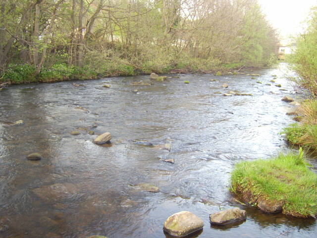 File:River Derwent - geograph.org.uk - 793691.jpg