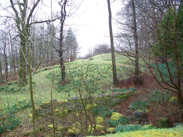 File:Springtime bank in Ebbw Vale - geograph.org.uk - 731662.jpg