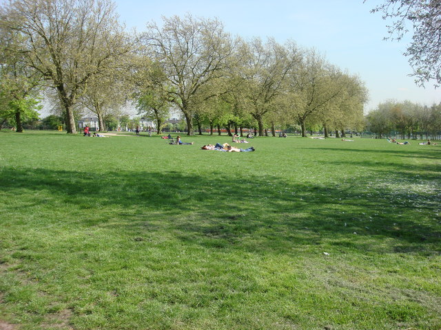 File:Sunbathers in Finsbury Park - geograph.org.uk - 1290071.jpg