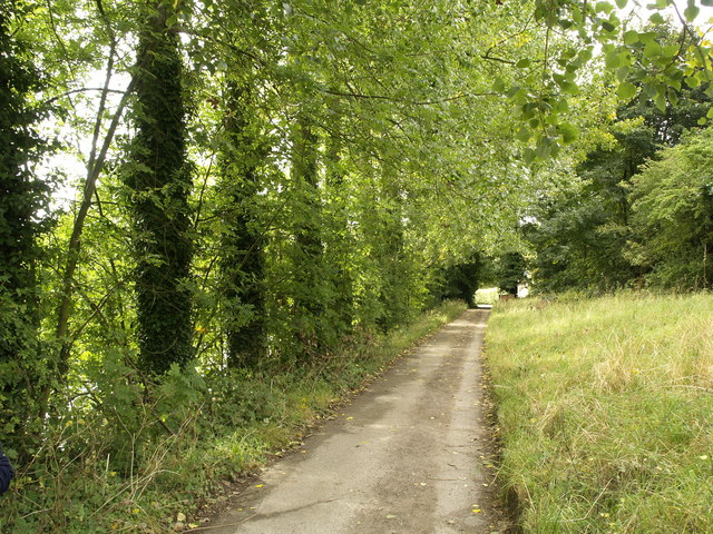 File:The track from Welton Dale to Welton - geograph.org.uk - 565144.jpg
