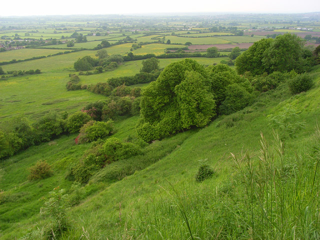File:The view from Broad Town White Horse - geograph.org.uk - 838312.jpg