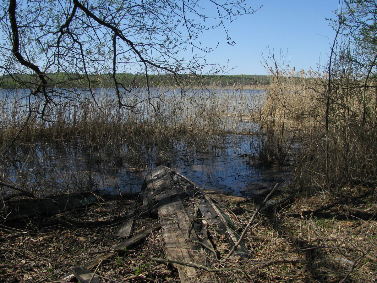 озера в гомеле