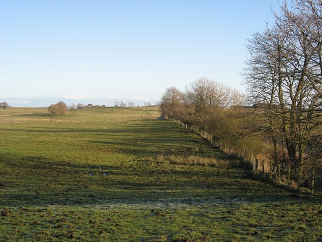 File:(The line of) Hadrian's Wall east of Carraw Farm - geograph.org.uk - 1075198.jpg