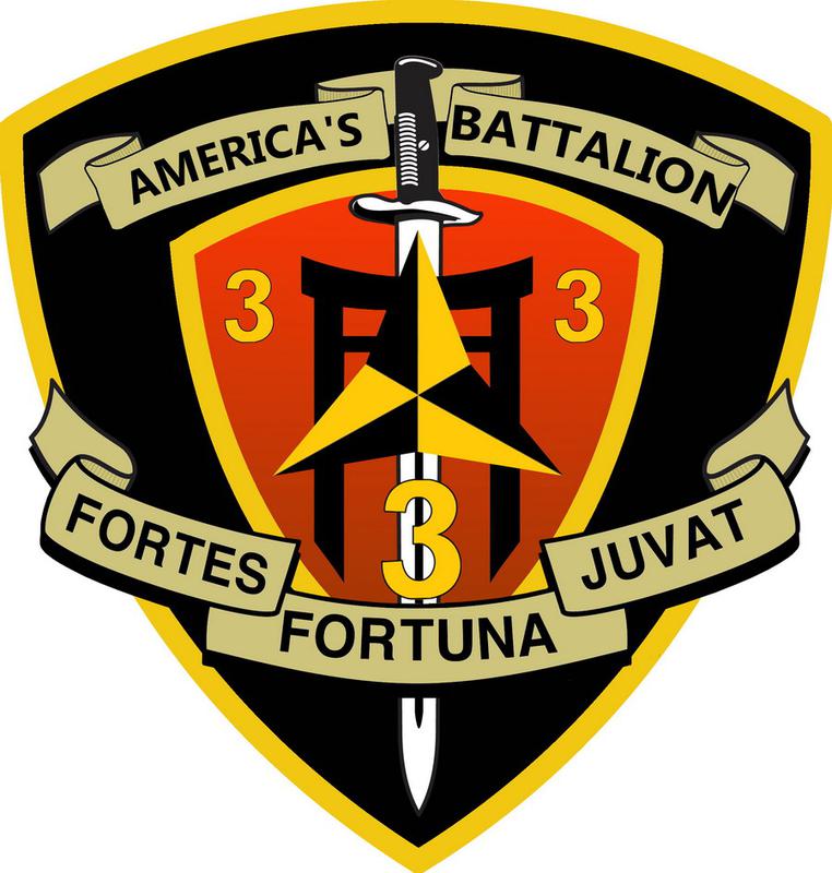 3rd Battalion 3rd Marines Wikipedia - 